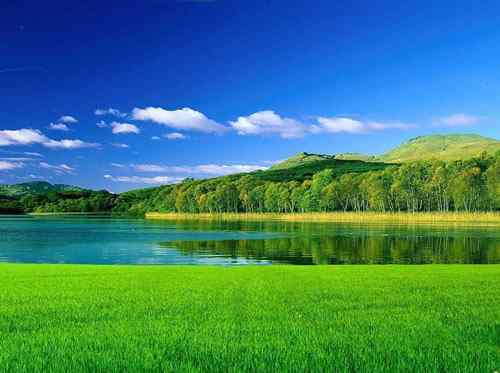 伊斯兰教的生态观