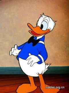唐老鸭手机壁纸