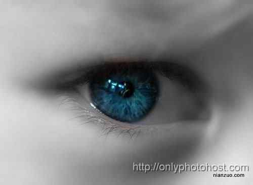 [组图]欣赏动物的眼睛