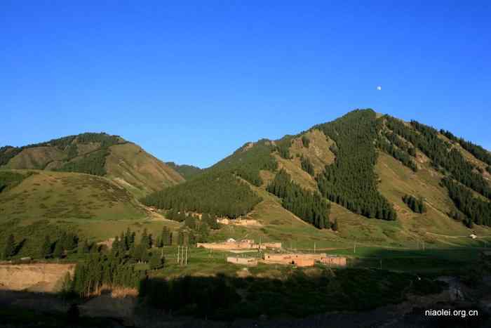 [百图]新疆鸟类(124p)