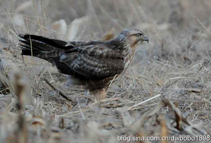 岁末再访白河峡谷