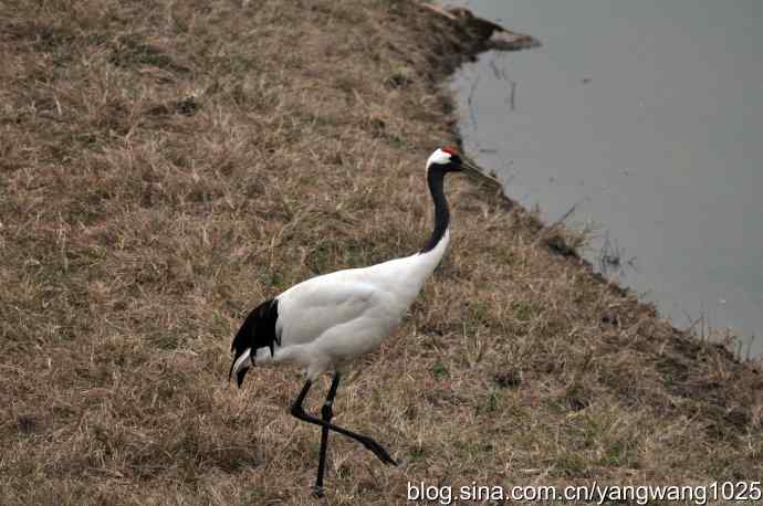 晚秋寻美 wbr wbr3