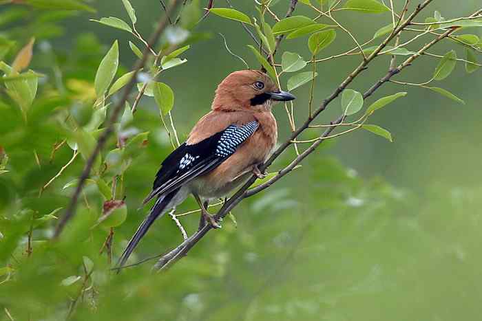 杭州老郑摄影续 杭州老郑摄影续