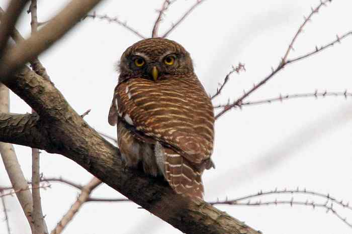 杭州老郑摄影续 杭州老郑摄影续