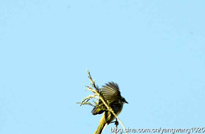 空中街舞（趣闻）