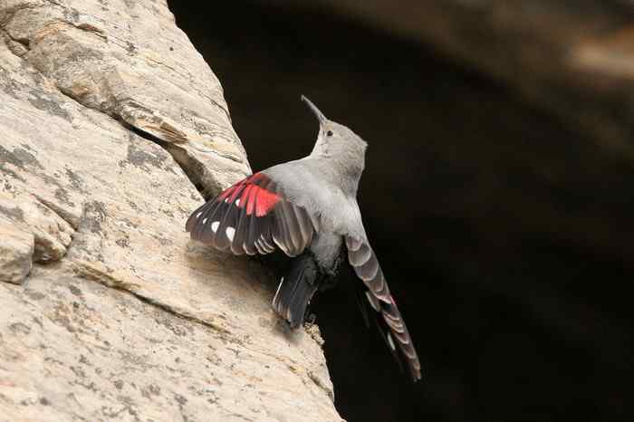 杭州老郑摄影续 杭州老郑摄影续