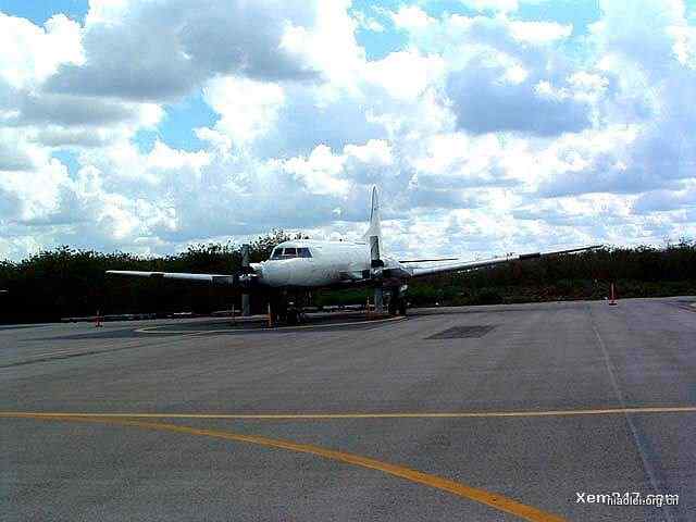 [组图]飞机被鸟撞得稀里哗啦