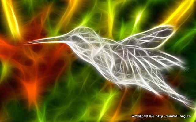 光线描绘宽屏鸟类壁纸