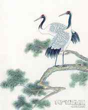 吉祥鸟水彩画手机壁纸