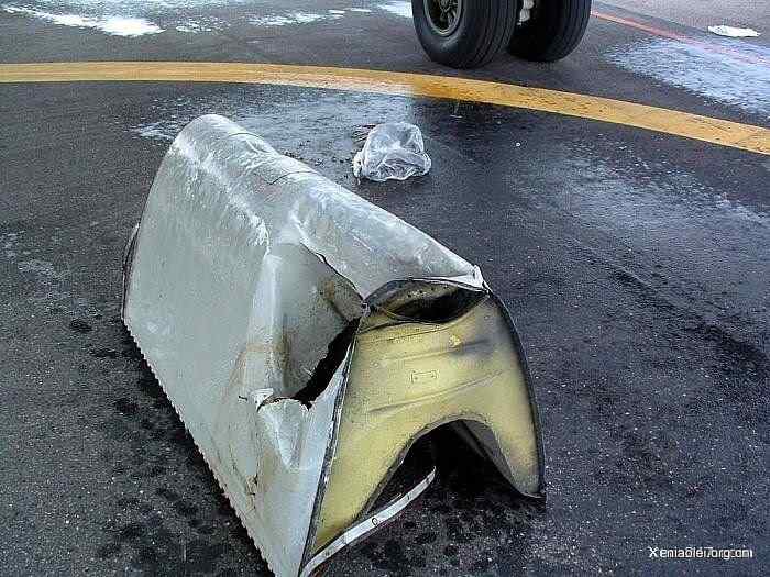 [组图]飞机被鸟撞得稀里哗啦