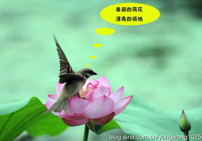 亲兄弟也要有分工（虚构）