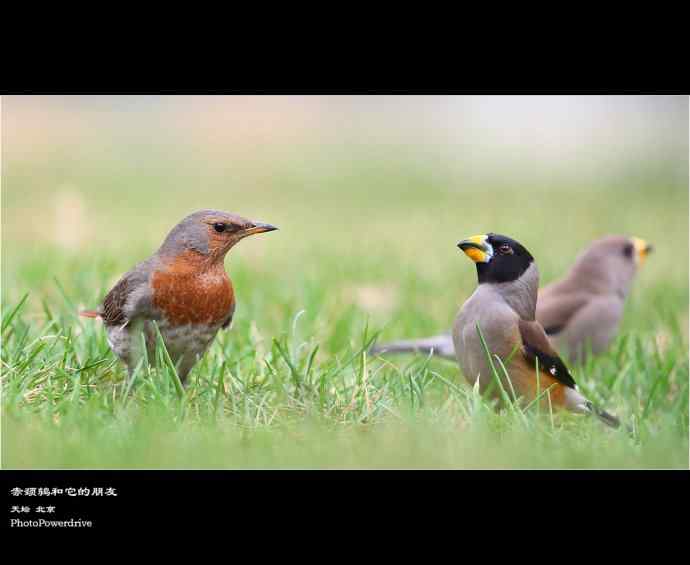 【人间四月天】