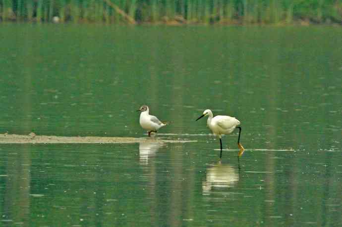 和谐 wbr wbr记录版 wbr wbr（2）