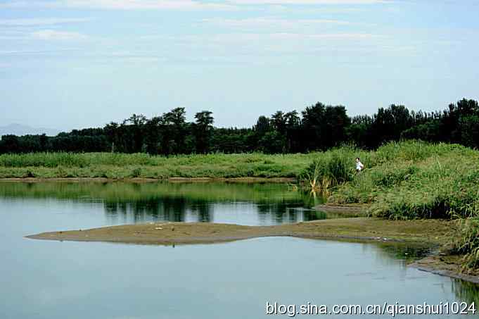 沙河水库.今天只拍到白鹭