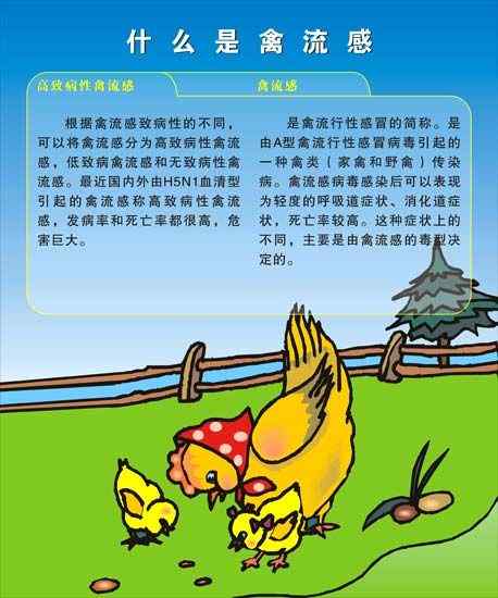 禽流感目前如何治疗？