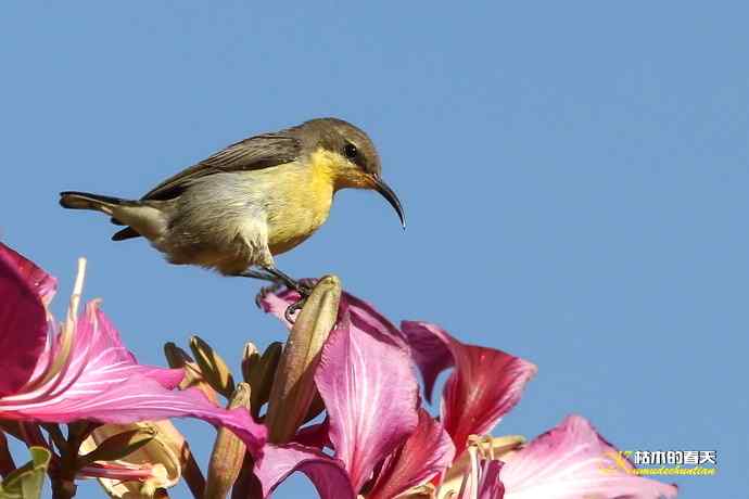 美丽邂逅鈥斺斪仙勰