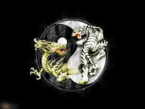 白虎:传说的兽原型探秘 白虎:传说的兽原型探秘