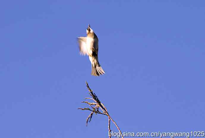 空中街舞（趣闻）