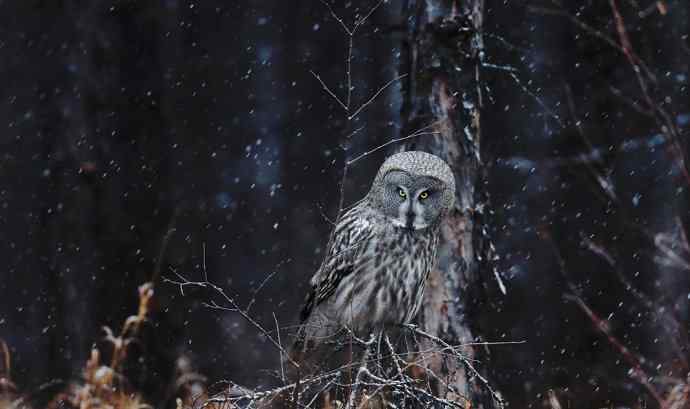 人生到处知何似 wbr恰似飞鸿踏雪泥