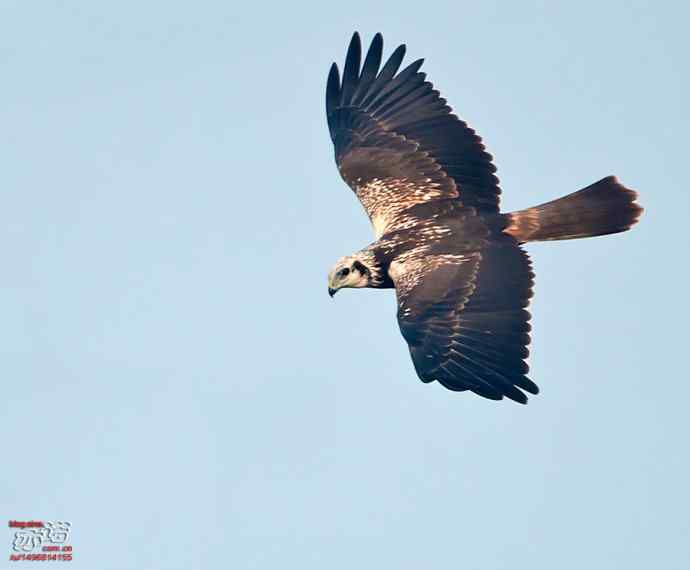 官厅水库&nbsp;wbr路&nbsp;wbr金秋十一猛