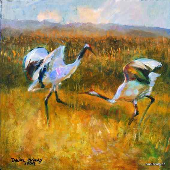 养鸟饮水的供给要点