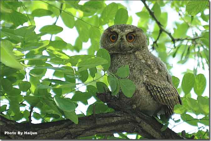  点击图片或使用键盘← →翻页