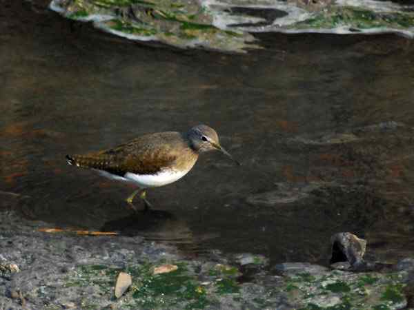 孤独的美丽（组图，17张图片）