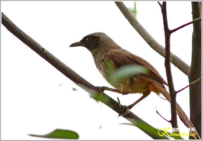 记录鈥満诹吃腽题潯菊掌