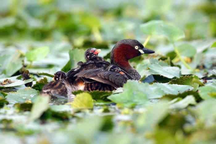 杭州老郑摄影续 杭州老郑摄影续