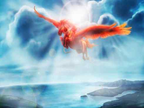 独角兽：传说的兽