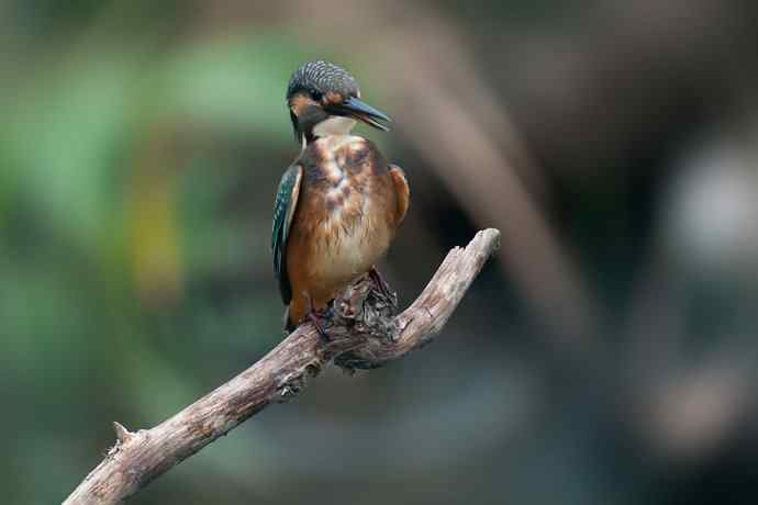 翠二小的渔家功☆