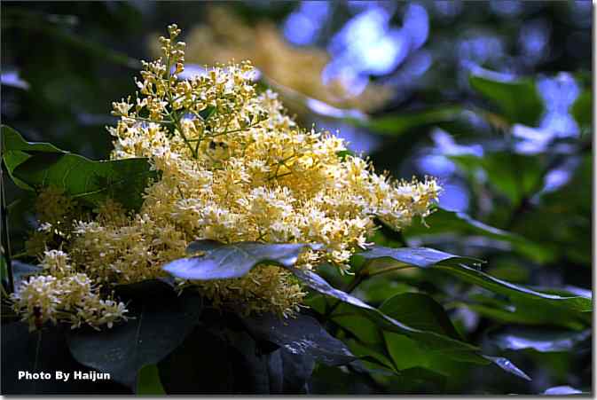 植物园de风光篇