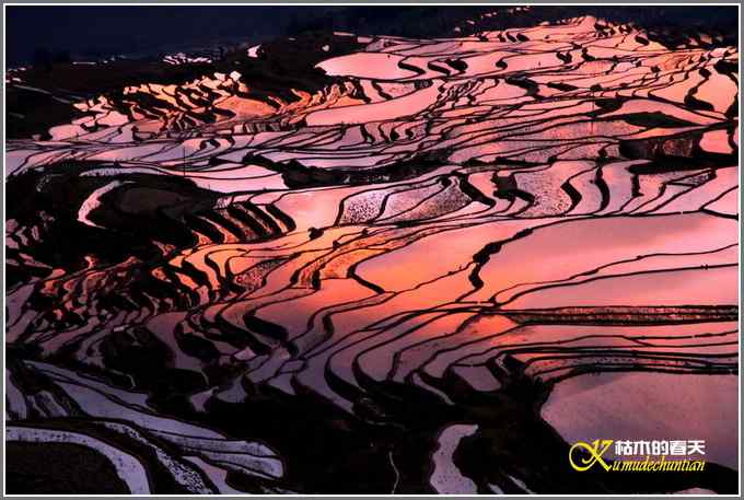 如梦的元阳梯田【照片】