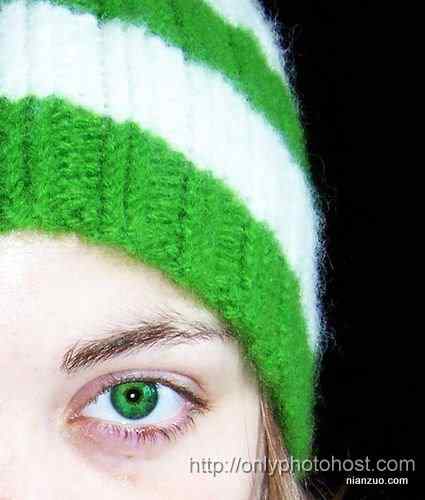 [组图]欣赏动物的眼睛