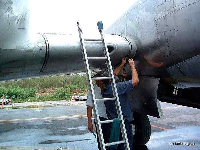 [组图]飞机被鸟撞得稀里哗啦