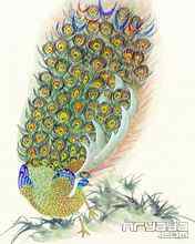 吉祥鸟水彩画手机壁纸