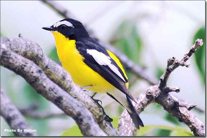  点击图片或使用键盘← →翻页