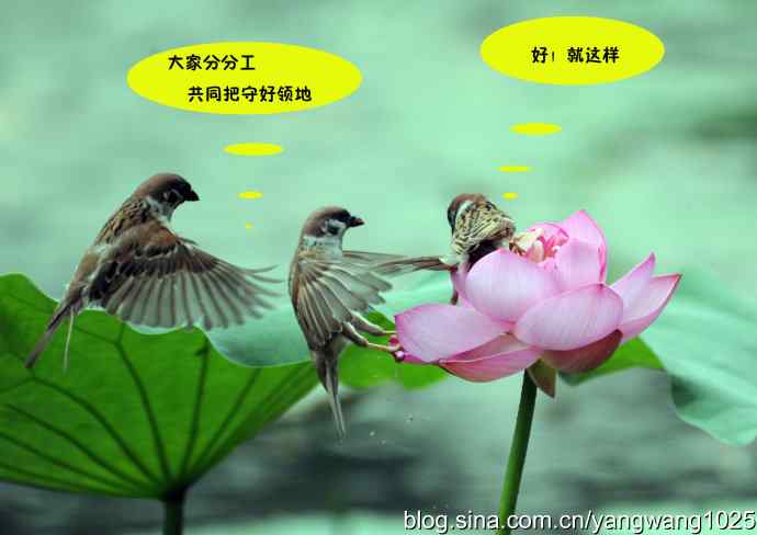 亲兄弟也要有分工（虚构）