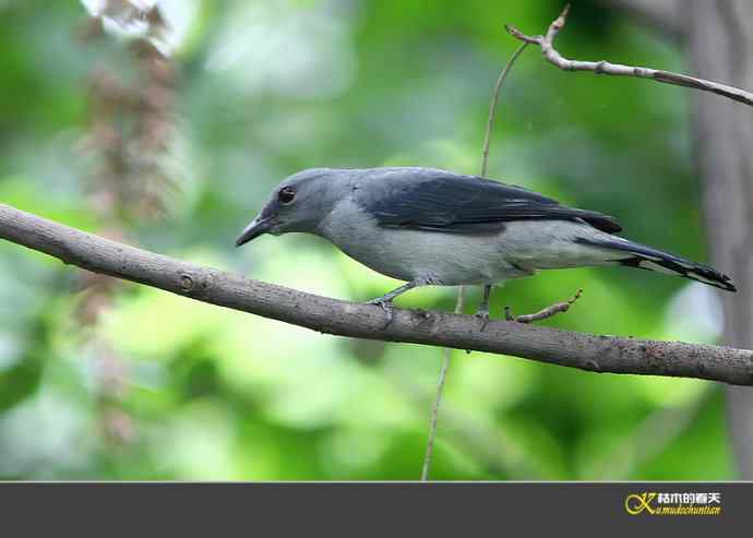 鈥湴祷揖轾V鈥澮蛔