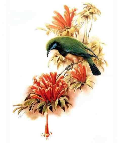 画家叶永青的艺术历程(2)