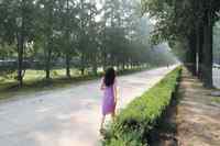 机场驱鸟或导致鸟儿成“神经病”