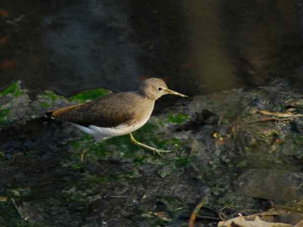 孤独的美丽（组图，17张图片）