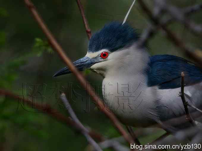 聆听超萌鈥溞∫光澢ㄗ橥迹24张图片）