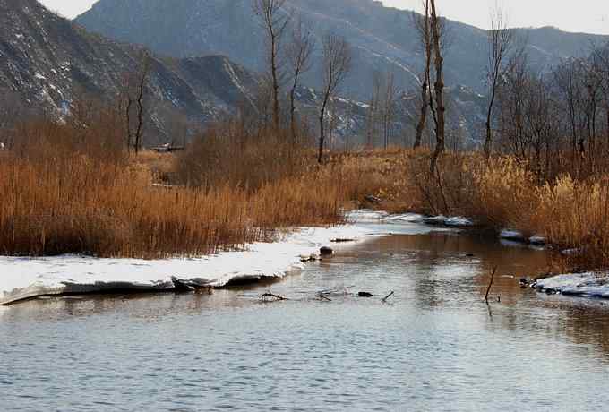 白河峡谷三月雪 白河峡谷三月雪