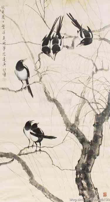 大师“拍”鸟(组图,12张图片)