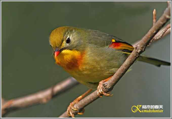 神马都是浮云，健康、快乐才最给力鈥斺斘业2010