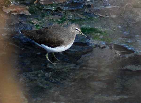 孤独的美丽（组图，17张图片）