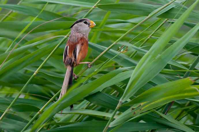 萌态可掬的鈥溦鸬┬∪糕☆★