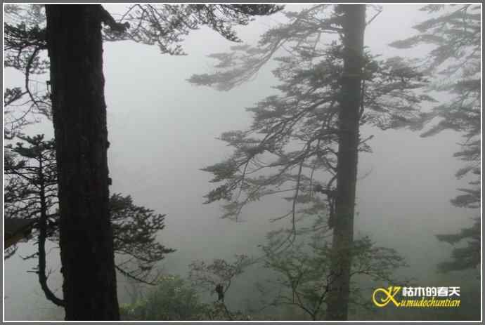 烟雨朦朦的瓦屋高原(瓦屋山系列二)【照片】 烟雨朦朦的瓦屋高原(瓦屋山系列二)【照片】