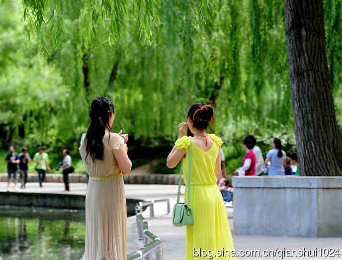 水禽湖夏日风采